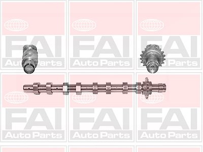 Fai Autoparts Nockenwelle [Hersteller-Nr. C266] für Citroën, Fiat, Ford, Mazda, Mini, Peugeot, Santana, Volvo von FAI AutoParts