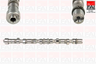 Fai Autoparts Nockenwelle [Hersteller-Nr. C281] für Hyundai, Kia von FAI AutoParts