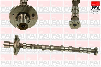 Fai Autoparts Nockenwelle [Hersteller-Nr. C308] für Mitsubishi von FAI AutoParts