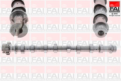 Fai Autoparts Nockenwelle [Hersteller-Nr. C351] für Nissan, Opel, Renault, Vauxhall von FAI AutoParts