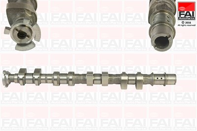 Fai Autoparts Nockenwelle [Hersteller-Nr. C365] für Chevrolet, Opel von FAI AutoParts