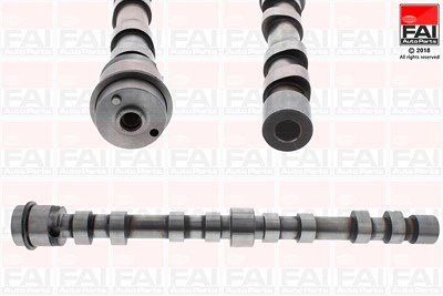 Fai Autoparts Nockenwelle [Hersteller-Nr. C391] für Citroën, Fiat, Iveco, Peugeot von FAI AutoParts