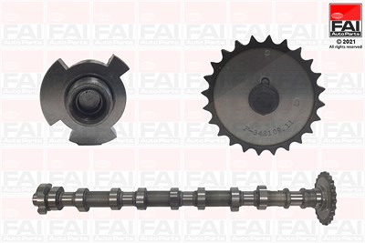 Fai Autoparts Nockenwelle [Hersteller-Nr. C413] für Hyundai, Kia von FAI AutoParts