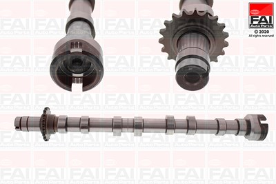 Fai Autoparts Nockenwelle [Hersteller-Nr. C421] für Citroën, Ds, Ford, Ford Usa, Peugeot von FAI AutoParts