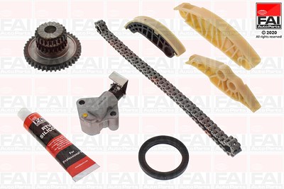 Fai Autoparts Steuerkettensatz [Hersteller-Nr. TCK181] für Audi, Seat von FAI AutoParts