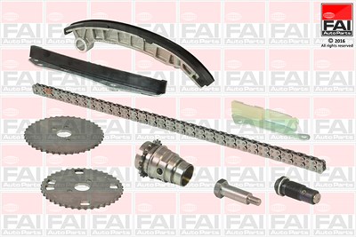 Fai Autoparts Steuerkettensatz [Hersteller-Nr. TCK194LNG] für Citroën, Fiat, Iveco, Peugeot von FAI AutoParts