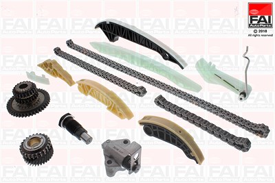 Fai Autoparts Steuerkettensatz [Hersteller-Nr. TCK212LNG] für Audi, Seat, Skoda, VW von FAI AutoParts