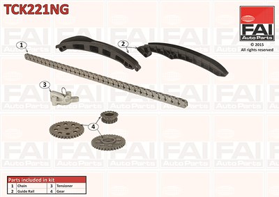 Fai Autoparts Steuerkettensatz [Hersteller-Nr. TCK221NG] für VW von FAI AutoParts