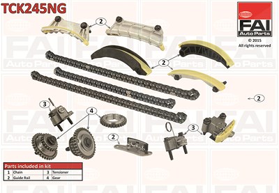 Fai Autoparts Steuerkettensatz [Hersteller-Nr. TCK245NG] für Cadillac, Opel, Saab von FAI AutoParts