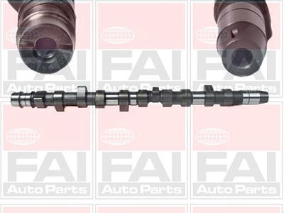 Fai Autoparts Nockenwelle [Hersteller-Nr. C231] für Audi, Volvo, VW von FAI AutoParts