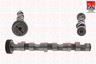 Fai Autoparts Nockenwelle [Hersteller-Nr. C246] für Audi, Skoda, VW von FAI AutoParts