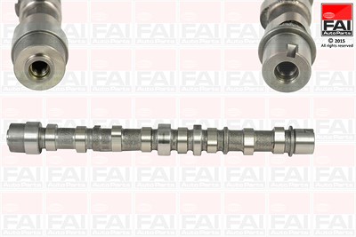 Fai Autoparts Nockenwelle [Hersteller-Nr. C255] für Alfa Romeo, Citroën, Fiat, Lancia, Opel, Peugeot, Suzuki von FAI AutoParts