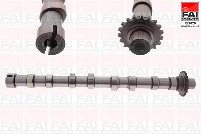 Fai Autoparts Nockenwelle [Hersteller-Nr. C420] für Citroën, Ds, Ford, Ford Usa, Peugeot von FAI AutoParts