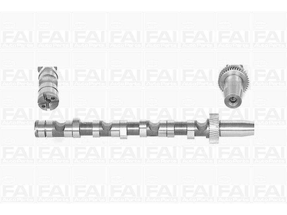 C245 Fai New Nockenwelle OE Qualität von FAI Autoparts