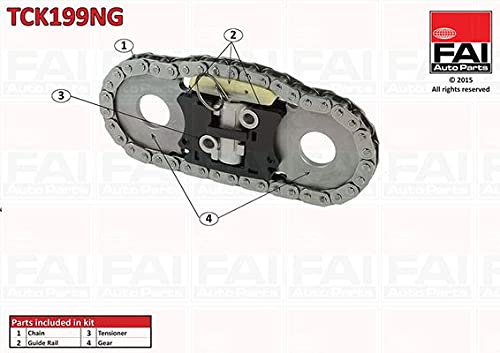 FAI Steuerkette Kit Teil No. tck199ng von FAI Autoparts