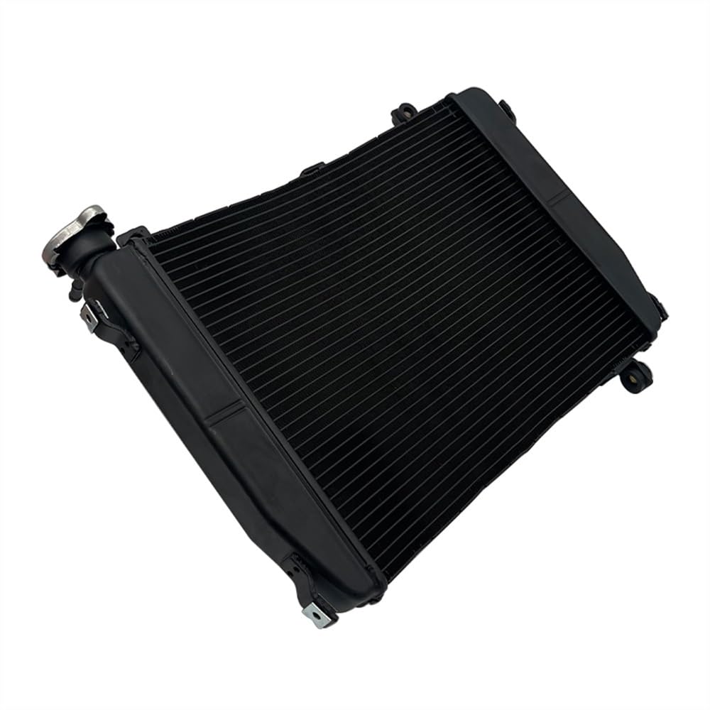 Motorrad Schutzgitter Kühlergrill Motorrad Wassertank Thermoabdeckung Kühlergrill Schutzfolie Zubehör Für A&prilia RS 660 RS660 2020 2021 2022 2023 von FALESHENG