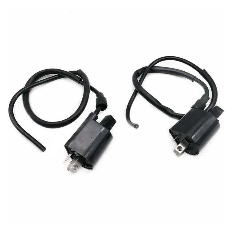 Zündspule 2Pcs Für Für Virago700 XV700 1984 1985 1986 1987 XV750 XV1000 XV1100 Motorrad Teile Racing Zündspule System Einheit Zündungen von FANGYID