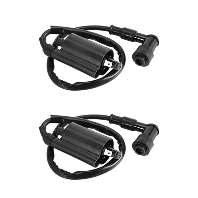 Zündspule 2X Motorrad-Zündspulen Für GS125 GN125 VX250 Für Virago 1100 XV1100 XV-1100 1995-2007 2006 2005 2004 2003 2002 Zündungen von FANGYID