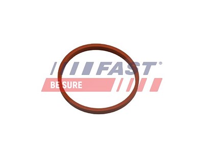 Fast Dichtring, Ladeluftschlauch [Hersteller-Nr. FT48932] für Dacia, Nissan, Renault von FAST