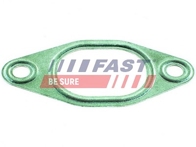 Fast Dichtung, Abgaskrümmer [Hersteller-Nr. FT49428] für Fiat, Lancia, Peugeot, Volvo, VW von FAST