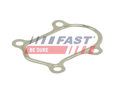 Fast Dichtung, Abgasrohr [Hersteller-Nr. FT84803] für Citroën, Fiat, Iveco, Opel, Peugeot, Renault von FAST