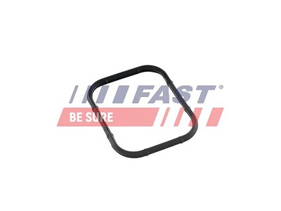 Fast Dichtung, Ansaugkrümmer [Hersteller-Nr. FT49421] für Citroën, Fiat, Ford, Mazda, Mini, Peugeot, Santana, Suzuki, Volvo von FAST