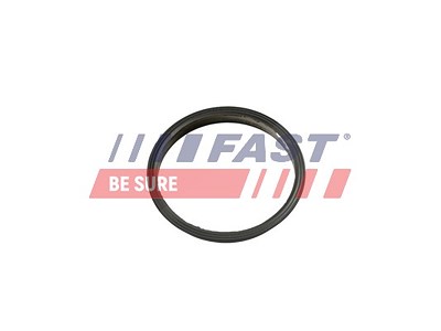 Fast Dichtung, Unterdruckpumpe [Hersteller-Nr. FT49853] für Ford von FAST