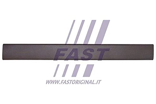 Fast FT90789 - Zier-/Schutzleiste, Seitenwand von FAST