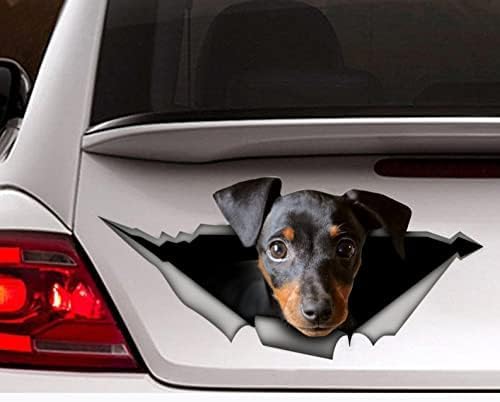 2PCS -Auto -Aufkleber, Auto -Aufkleber, Vinyl -Aufkleber, Haustieraufkleber, Hundeaufkleber, Hundeaufkleber -Laptop -Koffer -LKCAS -Accessoires Auto -Aufkleber Aufkleber Lustiger Autohalter Aufkleber von FASTLATE