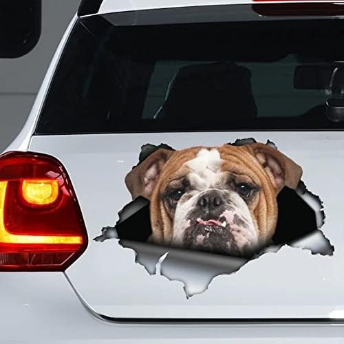 2PCS Hundewagen -Aufkleber, Hundemagnet, Hundaufkleber, Hundeaufkleber Laptop Koffer Truck Accessoires Auto Aufkleber Aufkleber Aufkleber Aufkleber Lustiger Auto Autohalter Aufkleber Auto -Aufkleber von FASTLATE