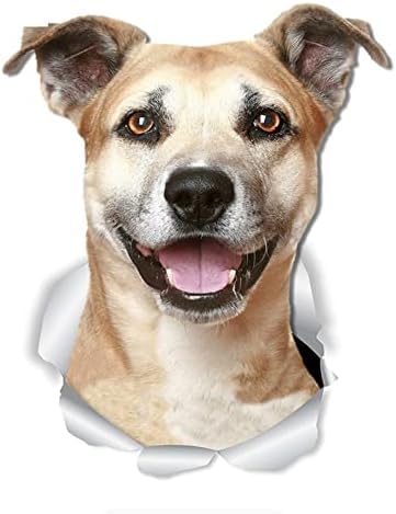 FASTLATE 2PCS 3D Hundewagen Aufkleber Hund Aufkleber Für Autowände Toilette Vinyl, 15 cm*10 cm Autoaufkleber Laptop Koffer Accessoires Auto Aufkleber Lustiger Autohalter Aufkleber von FASTLATE