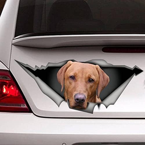 FASTLATE 2PCS Red Labrador -Aufkleber, Red Labrador Magnet, Pet Decal Lab -Aufkleber, Hundeaufkleber, Red Dog Car Decal Laptop Koffer Accessoires Auto Aufkleber Aufkleber von FASTLATE