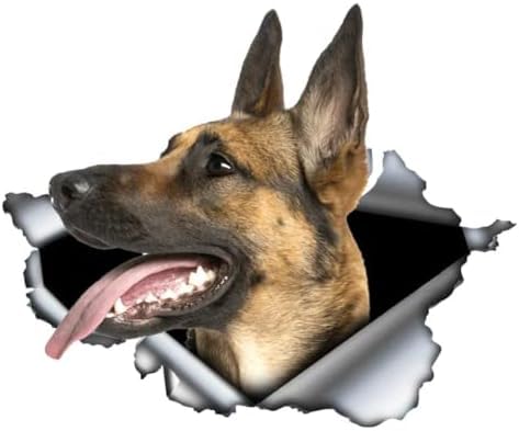 FASTLATE 2pcs Kreativer Tierhundauto Aufkleber Zerrissene Metall -Aufkleber Reflektierende Aufkleber wasserdichte Haustierhund 3D -Aufkleber 13 cm Laptop Koffer Truck Accessoires Auto -Aufkleber von FASTLATE