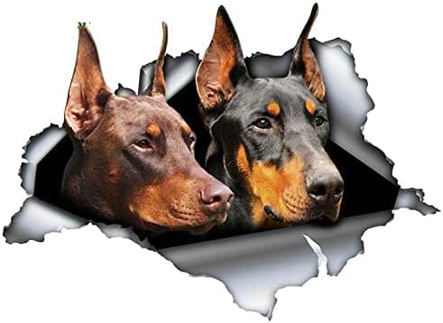 FASTLATE Alanz 2pcs 13 cm X 4,9 cm Hundewagen Aufkleber Zerrissene Metall -Aufkleber Reflexion Aufkleber Wasserdicht von FASTLATE