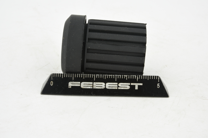 FEBEST Lagerbuchse, Blattfeder NISSAN NSB-C23R 55046G2500,55046G8300,550467C300 550467C903,550469C001 von FEBEST