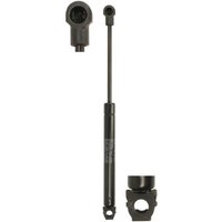 Gasfeder, Koffer-/Laderaum FEBI BILSTEIN 27742 von Febi