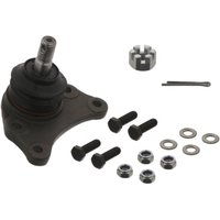 Traggelenk FEBI BILSTEIN 23247 von Febi