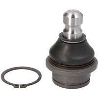 Traggelenk FEBI BILSTEIN 42625 von Febi