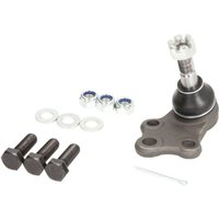 Traggelenk PROKIT FEBI BILSTEIN 42648 von Febi