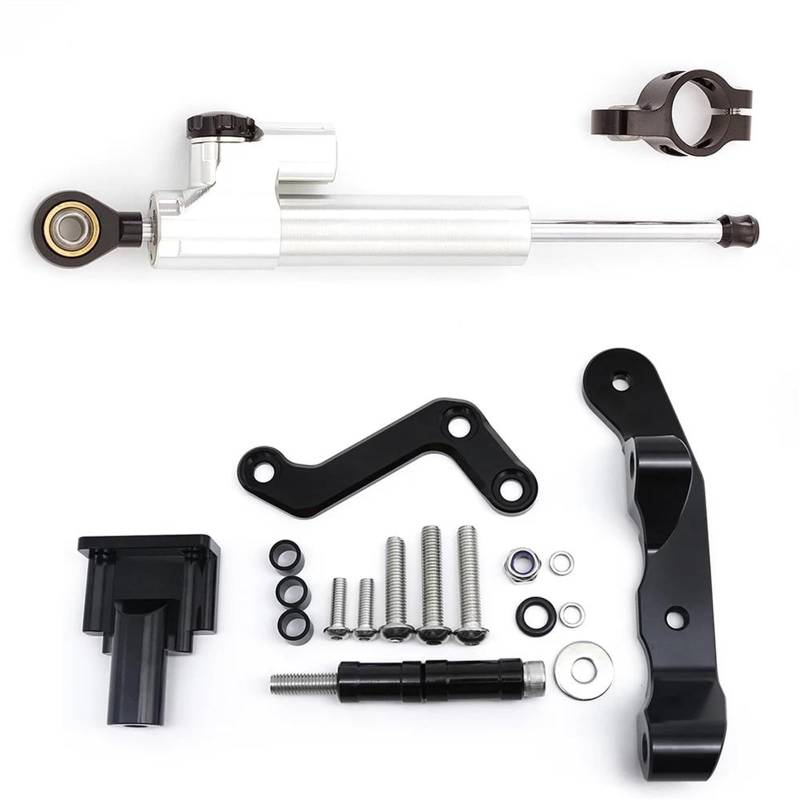 Dämpfer Lenkungsstabilisator Carbon Aluminium Motorrad Lenkung Dämpfer Stabilisieren Halterung Montage Kit Für MT03 2020-2023 Motorradhalterung(Silver Set) von FEILIV