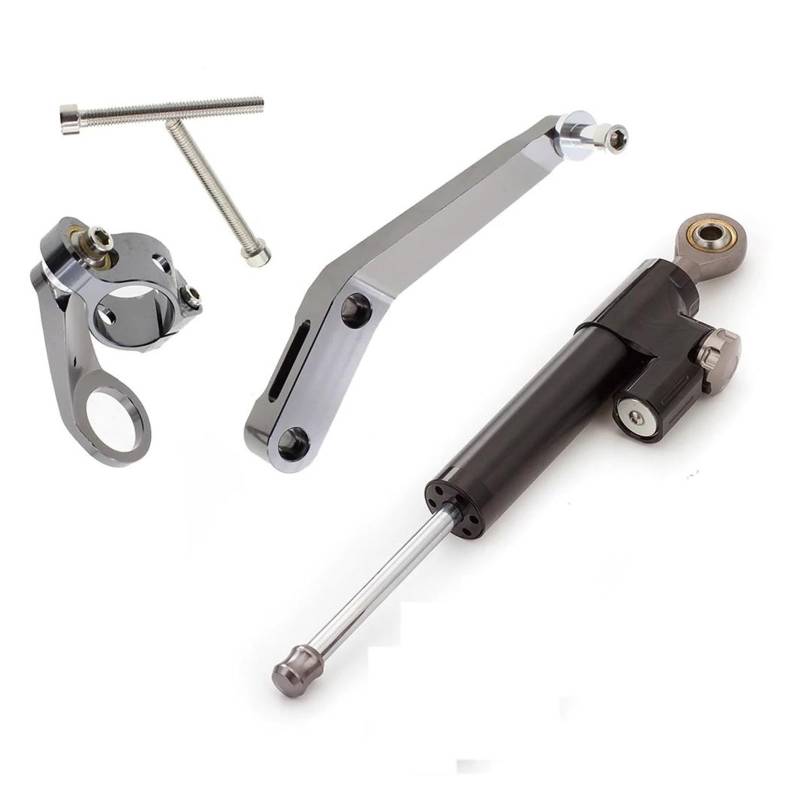 Dämpfer Lenkungsstabilisator Motorrad Aluminium Lenkung Dämpfer Stabilisieren Halterung Unterstützung Montage Kit Für CBR954RR 2002-2003 Motorradhalterung(Gray) von FEILIV