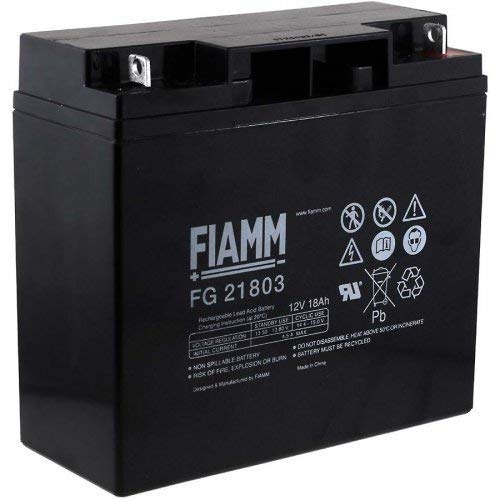 Fiamm Akku Serie FG 12 V Stromversorgung USV Anschluss Faston 187 flach 4,8 mm FG21803 Amperaggio 18 Ah von FIAMM Componenti Accessori S.p.A