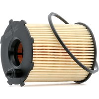 FILTRON Ölfilter Filtereinsatz OE 667/1 Motorölfilter,Filter für Öl VW,FORD,FIAT,Passat Variant (3G5, CB5),Fiesta Mk6 Schrägheck (JA8, JR8) von FILTRON