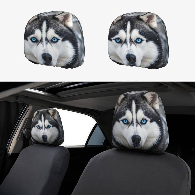 Auto-Kopfstützenbezug, 2 Stück, Kopfstützenbezüge, blauäugiger Husky, Kopfstützenbezüge für Autositze, personalisierte Kopfstützenbezüge für Autositze, universeller Kopfstützenbezug für LKW, SUV, die von FJQWKLF