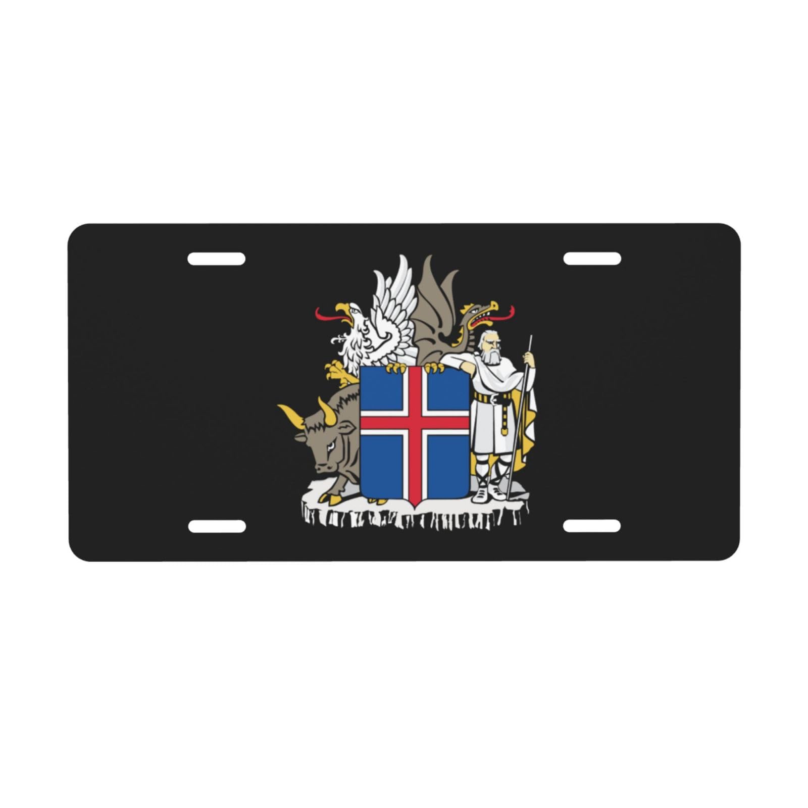 Nummernschild mit isländischem Wappen für die Vorderseite des Autos, Nummernschilder, 15,2 x 30,5 cm, Metall-Autoschilder, Etikett, Vanity-Neuheit, Auto-Dekor-Etikett von FJQWKLF