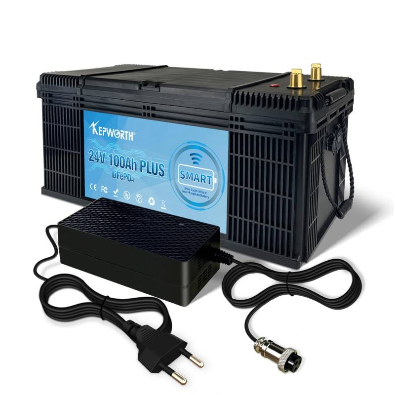 24V 100Ah LiFePO4 litium Batterie Akku Bluetooth, wiederaufladbare 4000+ Deep Cycle Lithium-ionen batterien mit BMS, geringe Selbstentladung, für wohnmobil,solarspeicher, Camping von FLLEEYPOWER