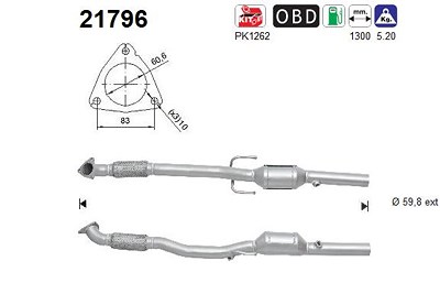 Fppl Katalysator [Hersteller-Nr. 21796] für Opel von FPPL