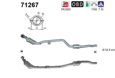 Fppl Katalysator [Hersteller-Nr. 71267] für Mercedes-Benz von FPPL