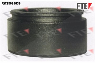 Fte Kolben, Bremssattel [Hersteller-Nr. 9313101] für Ford von FTE