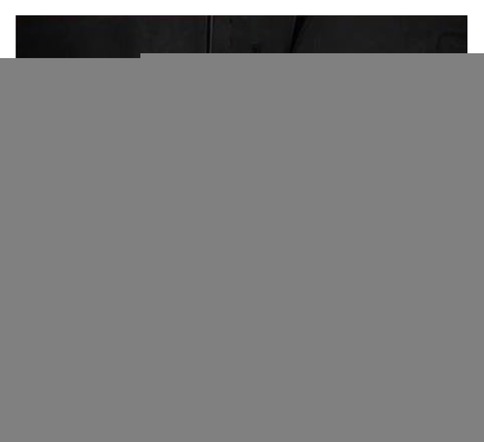 Kofferraum Schutzmatte Benutzerdefinierte Kofferraummatten Passend Für VW Für Jetta 2019–2023 Autozubehör Cargo Liner Pads Kofferraumteppich Auto Schutzmatte(Color 4) von FUNFOB